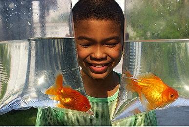 Switch2 C按键功能将收费 明年4月1日起掏钱吧