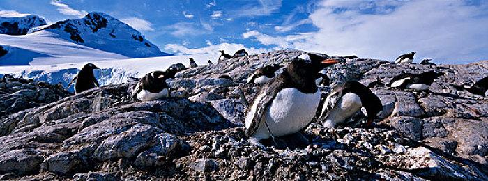 微软CEO：游戏行业应该完全取消独占游戏