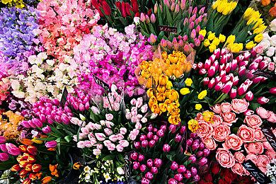 TGS 2021：《真三国无双8：帝国》发售日公布 中文版和日版同步