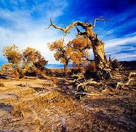 Crunchyroll 开始并入 Funimation 的动漫资源