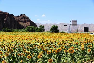 像素漫画风格2D平台动作游戏《安东布莱斯特》现已正式推出 获特别好评